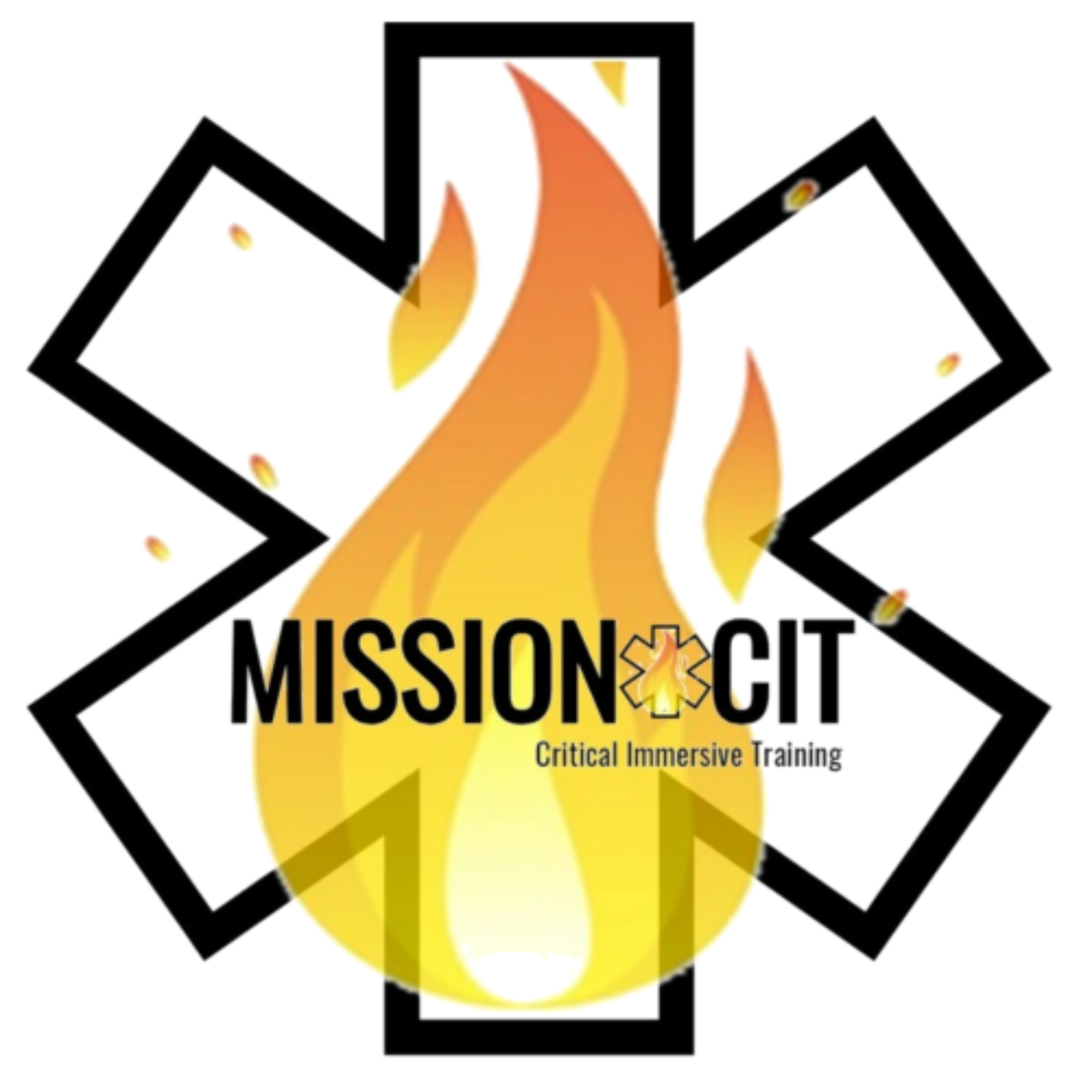 MissionCIT